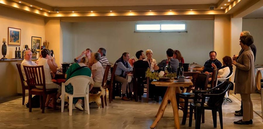 tourists sitting on the tables and tasting Ktima Brintziki wines